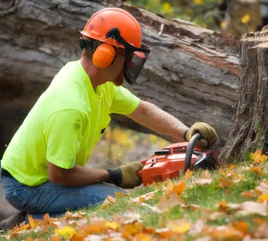 tree services Gloster